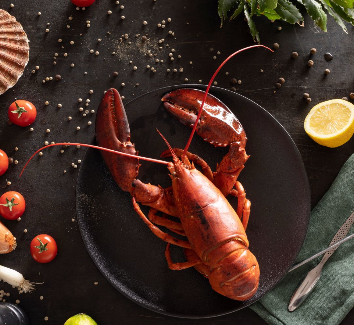 Bild Frisch von Frankreichs Küsten