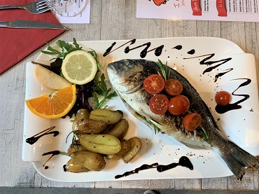 Bild Fisch am Campus